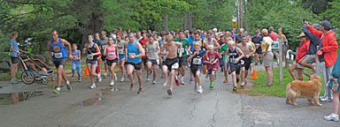 Photo of racers at the start of the 2012 Run for the Honey.